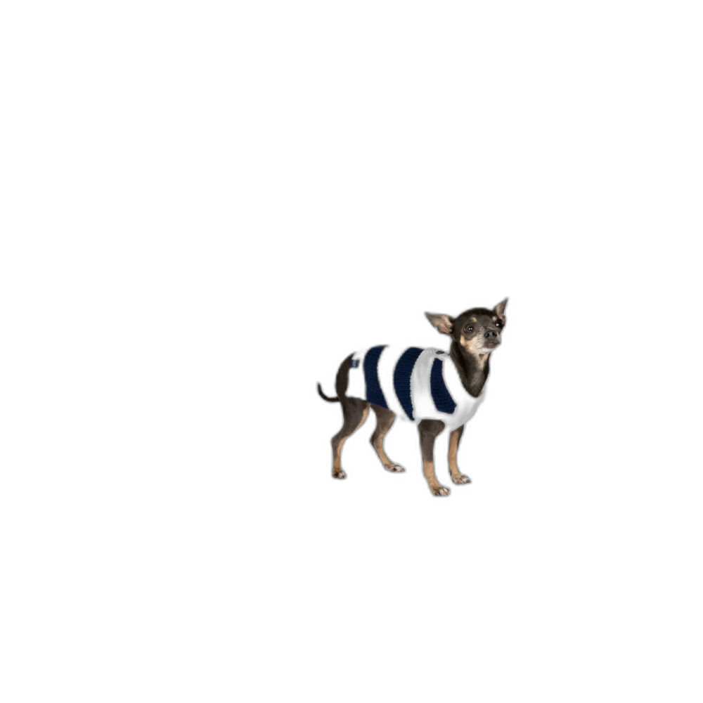 Gap Dog Sweater Blue and White Stripe XS & Lg size available